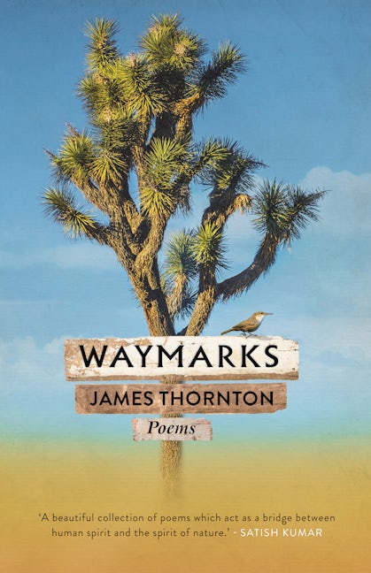 Book cover image for Waymarks ISBN: 9781909954519